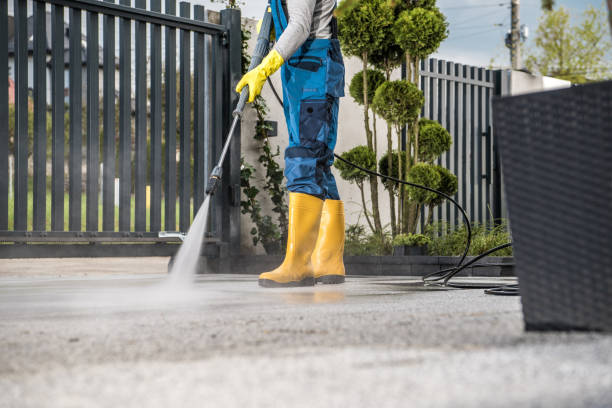 Best Roof Pressure Washing  in Rose Hill, NC