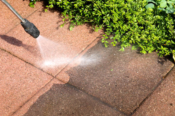 Best Roof Power Washing Services  in Rose Hill, NC